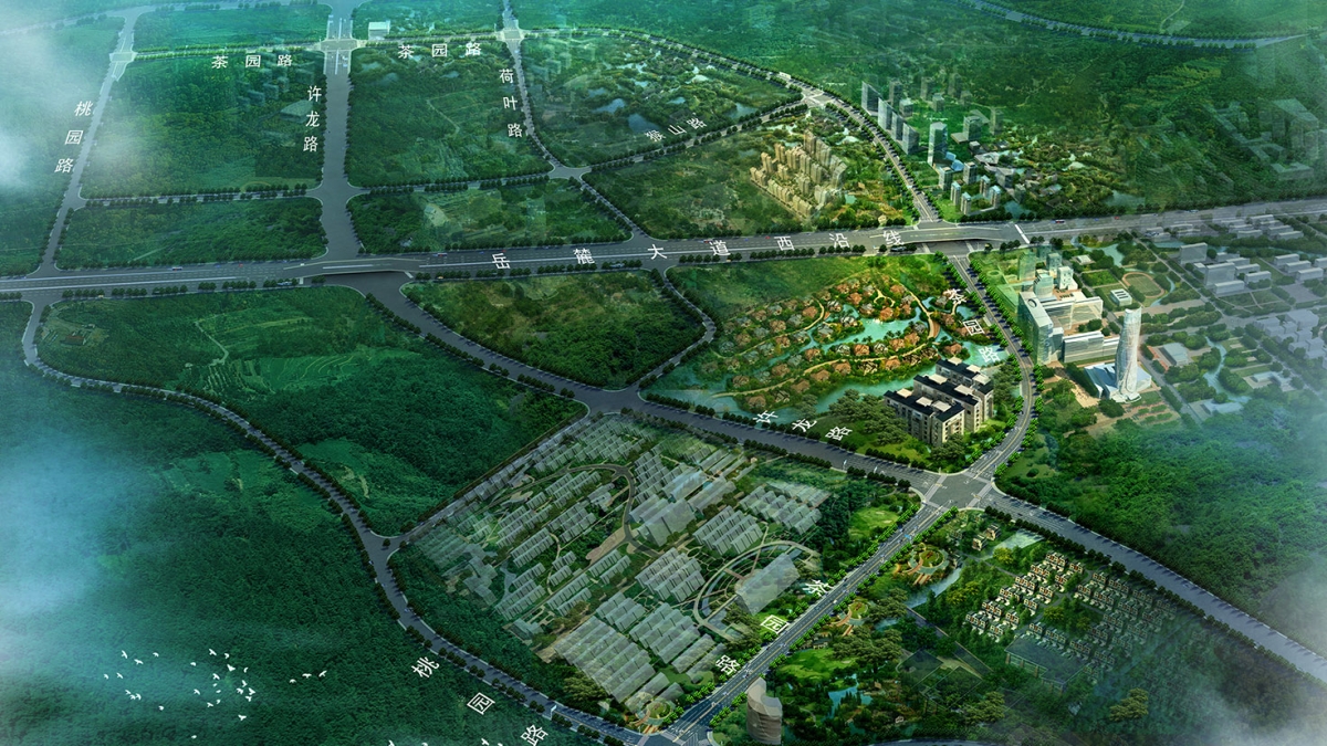 桐寧路、茶園路道路工程