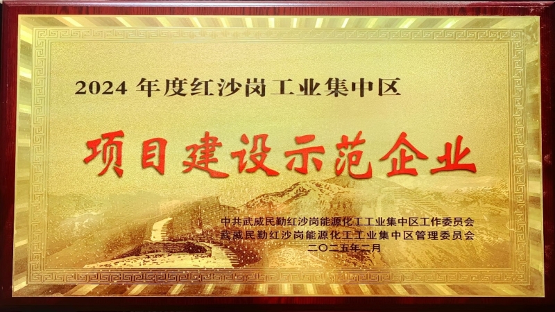 高效履約樹標(biāo)桿！中機國際被評為民勤紅沙崗工業(yè)區(qū) “2024年度項目建設(shè)示范企業(yè)”