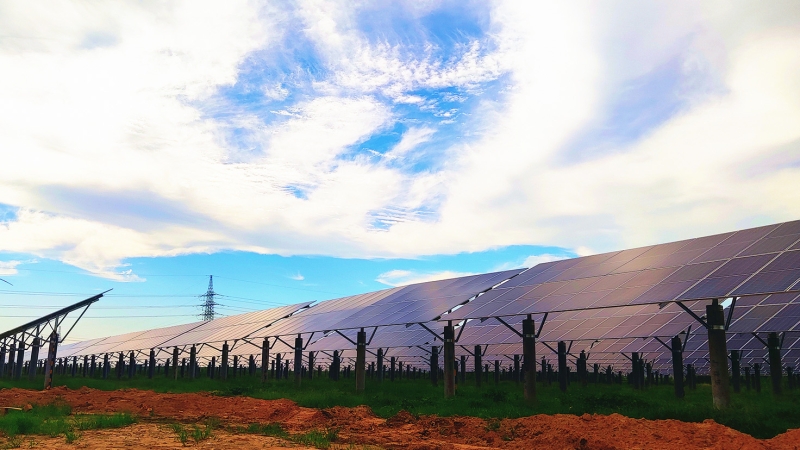 河北威縣澤恩蔬菜種植有限公司雨養(yǎng)型節(jié)水高效蔬菜大棚 88MW 農光互補發(fā)電項目